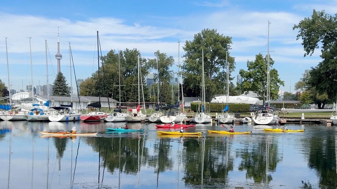 Kayaks heading out out to explore the Toronto Islands.