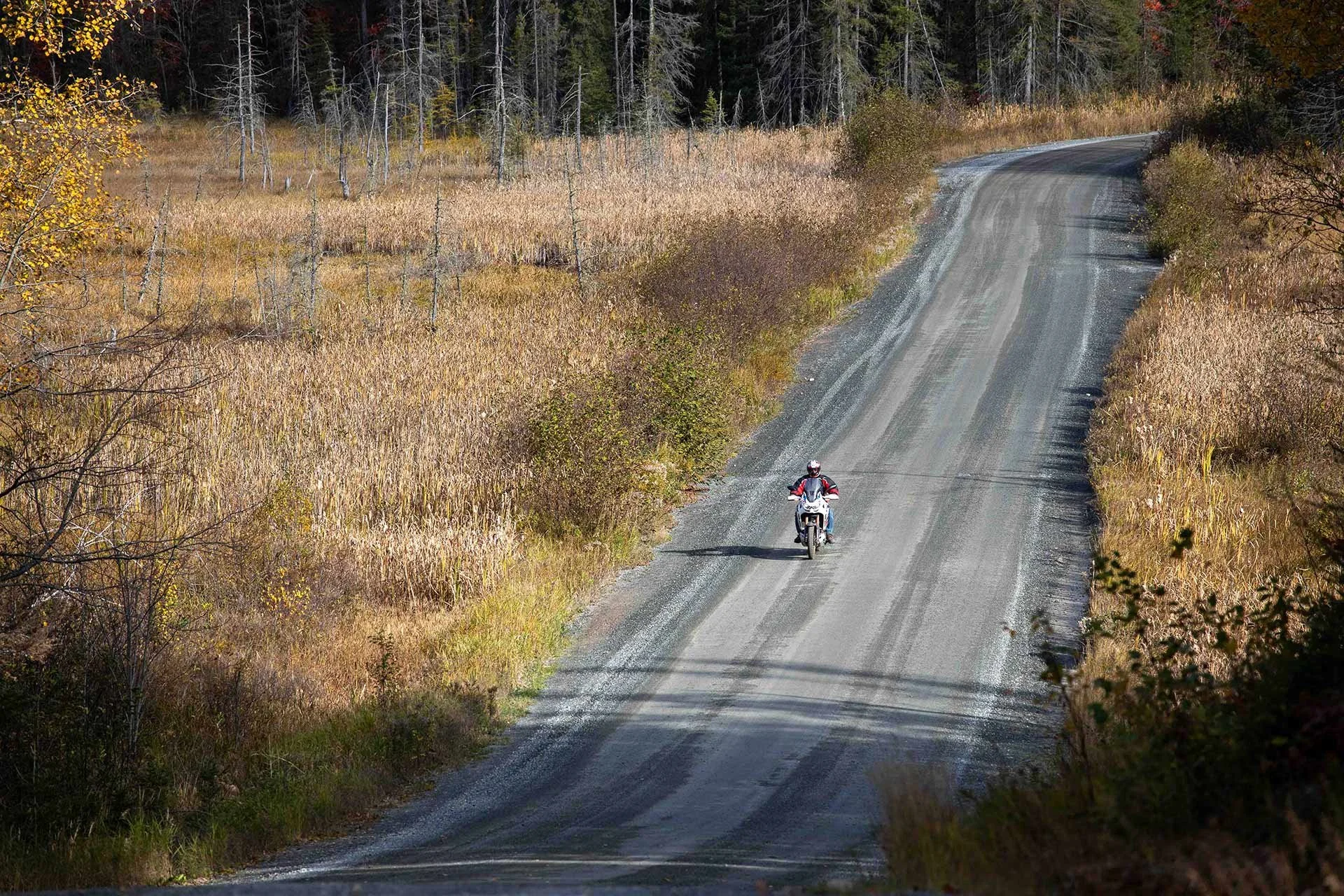 Adventure rider on a gravel road in northern Onatrio.