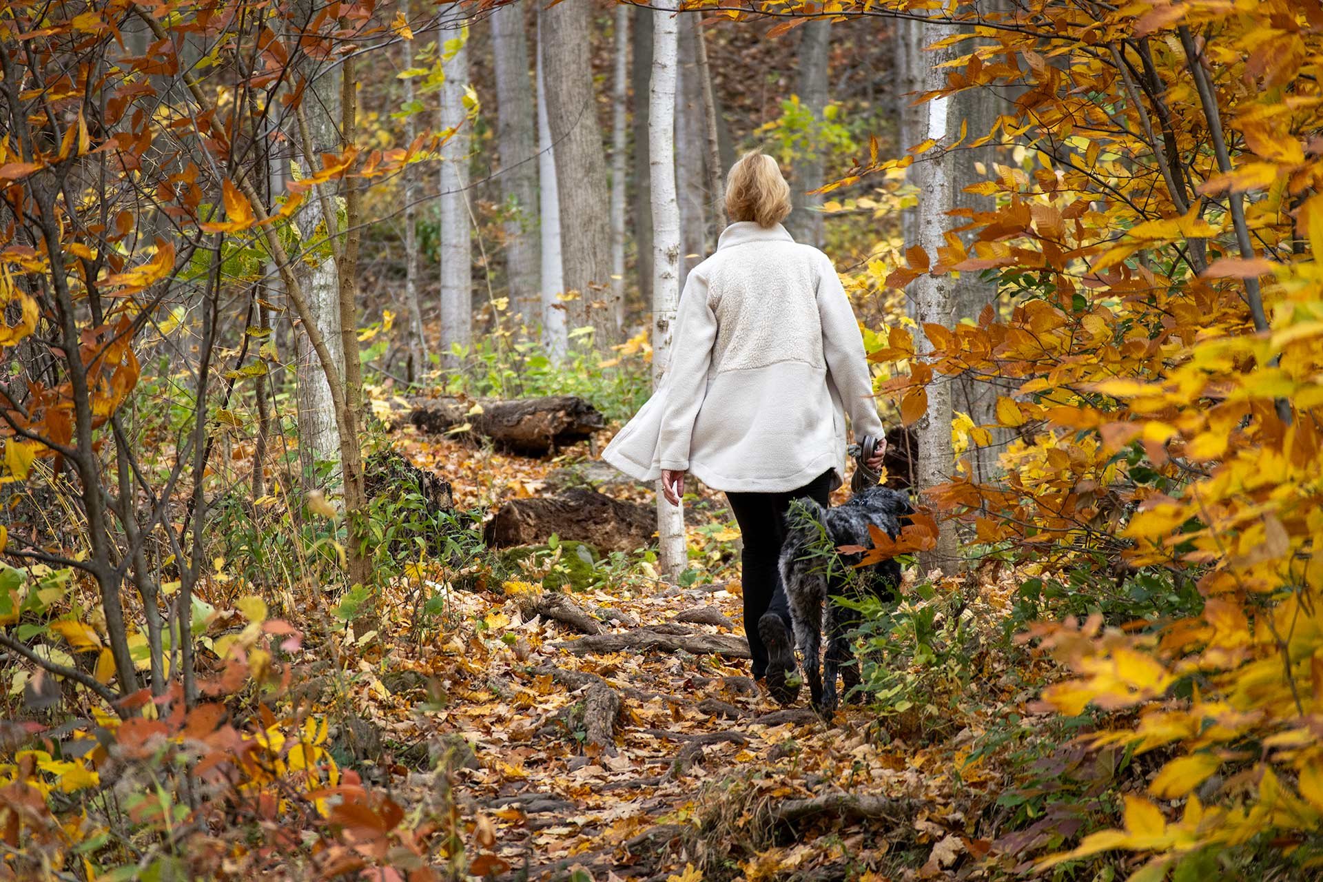 Fall hike in a park in Toronto.