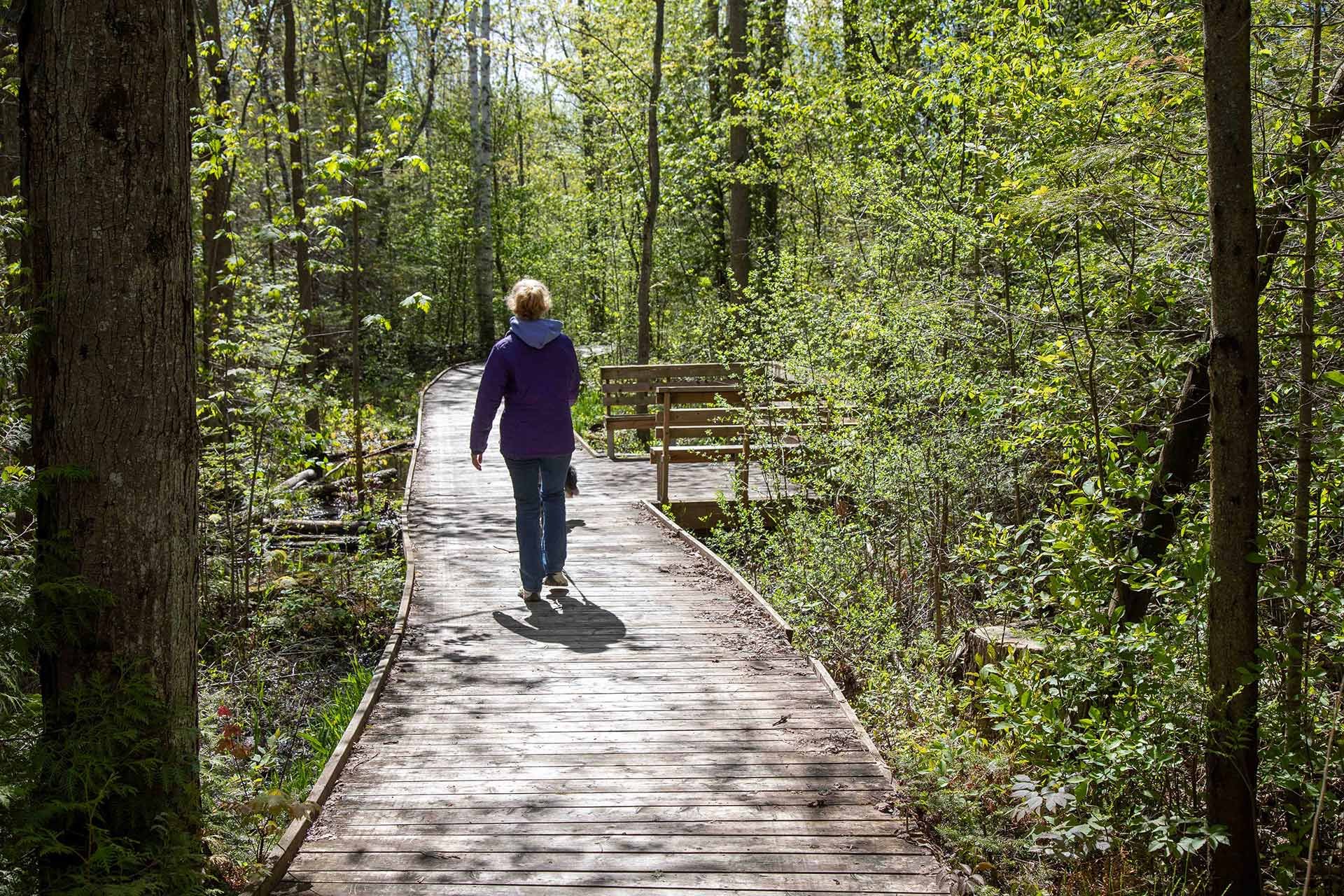 Hiking along boardwalks at MacGregor Point Provincial Park