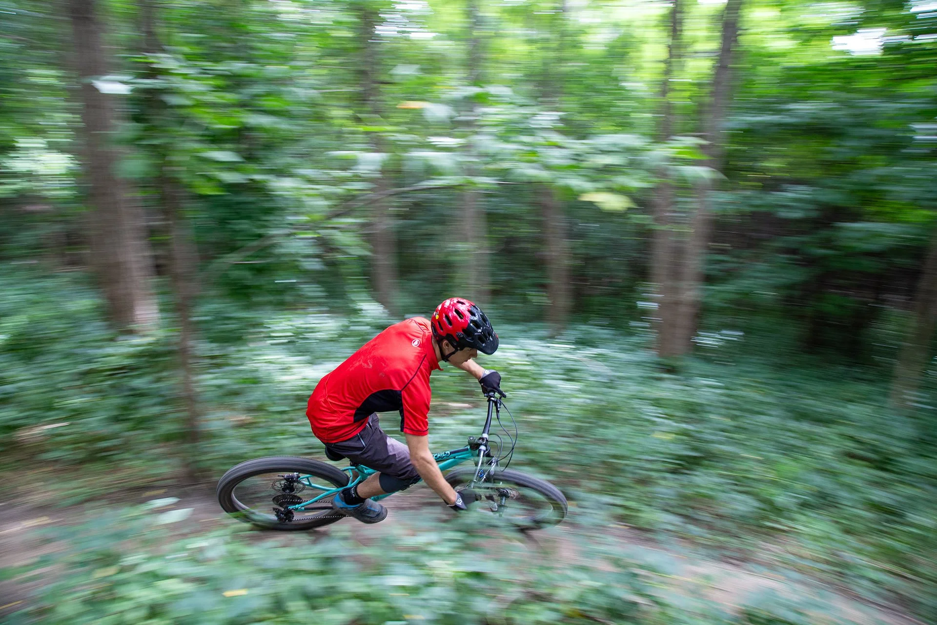 Riding Toronto’s Don Valley Mountain Bike Trails