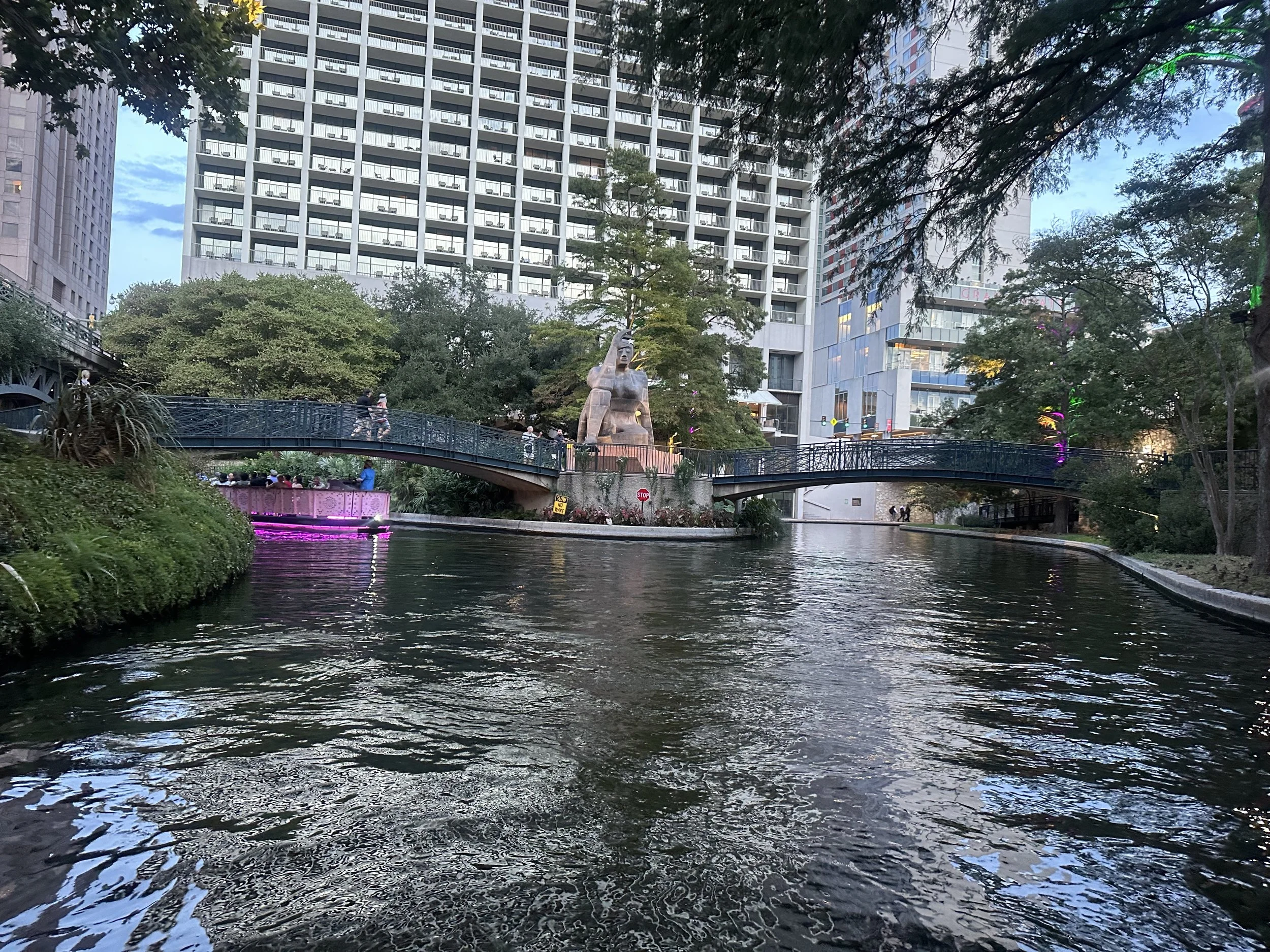 IMG_8955.jpeg