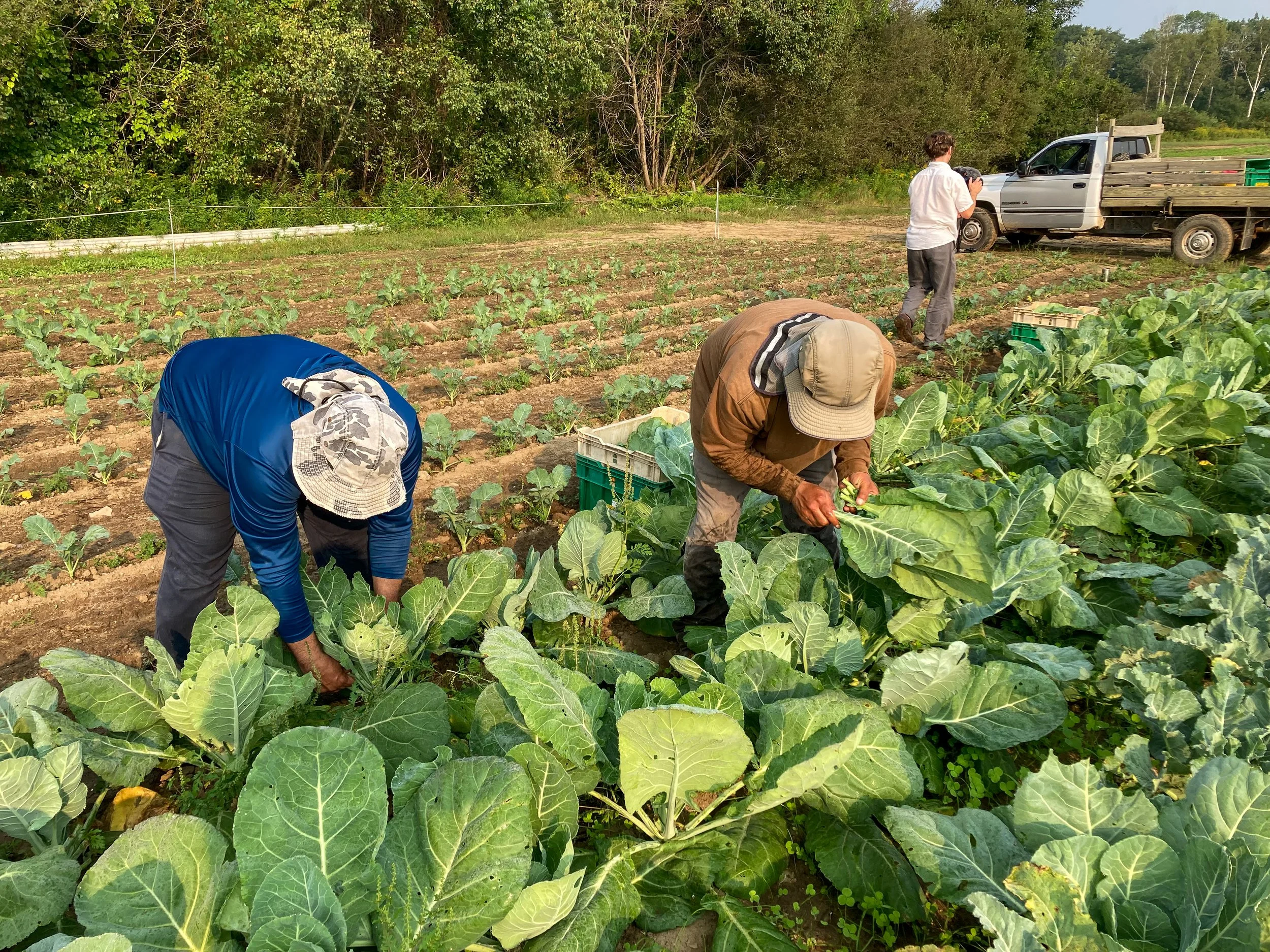 People working on a farm.