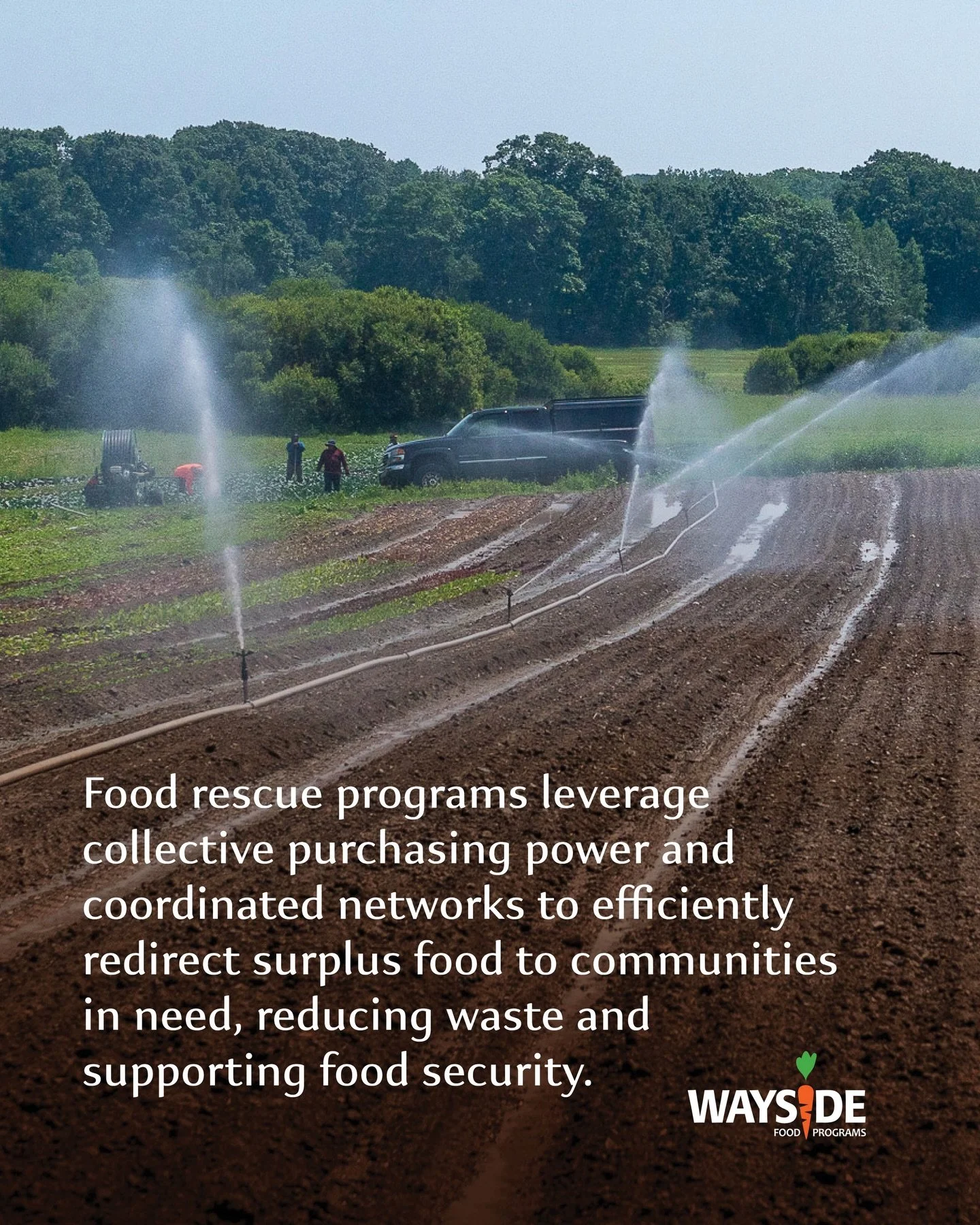To learn more about Wayside&rsquo;s Food Rescue program, please visit www.waysidemaine.org/food-rescue.

You can also check out the @university.of.maine Food Rescue page at www.umaine.edu/foodrescuemaine
.
.
#collectivepower #foodrescue #zerowaste