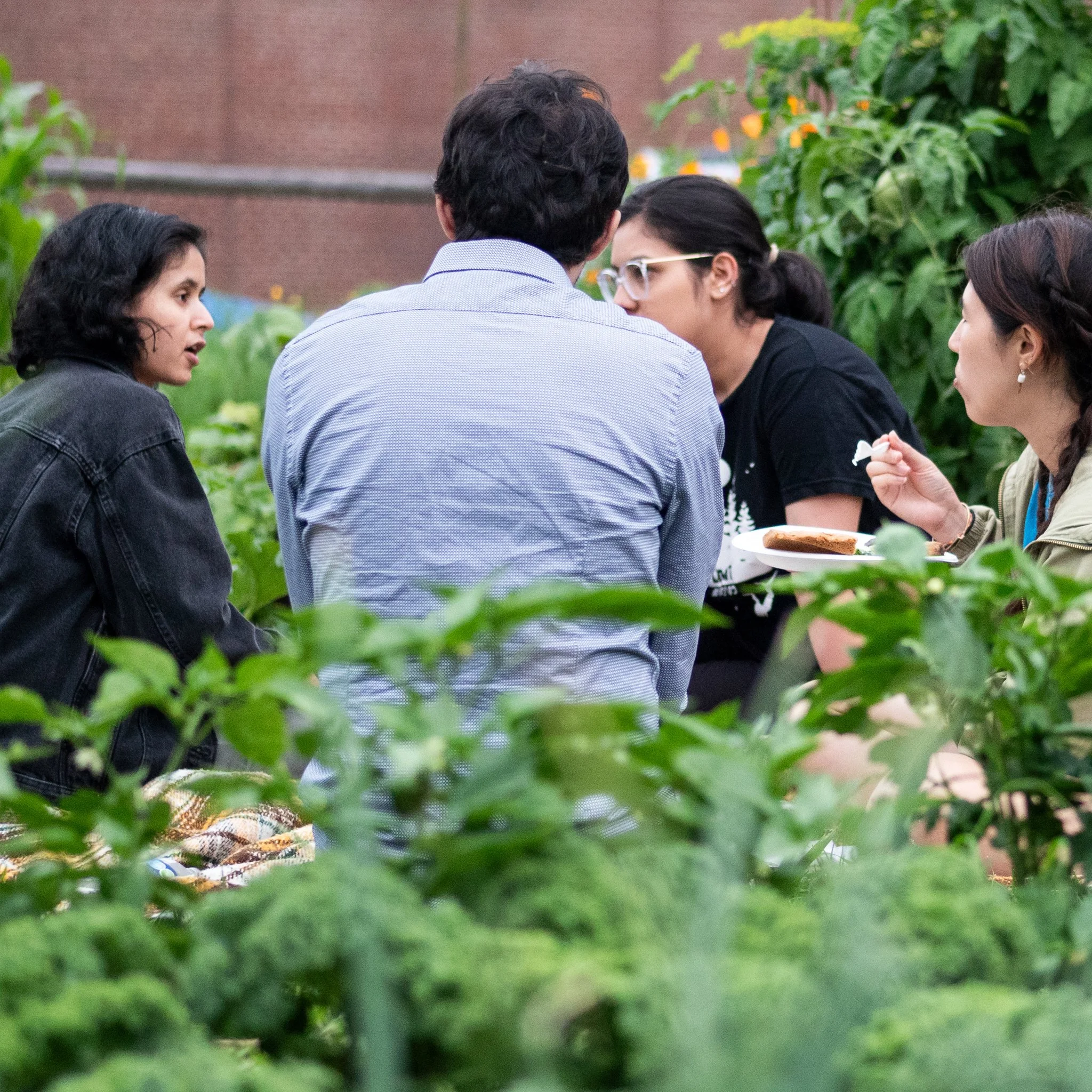 Four people sitting and talking in a garden, with two women on the right holding plates of food and a woman and man on the left engaged in conversation amid green plants.