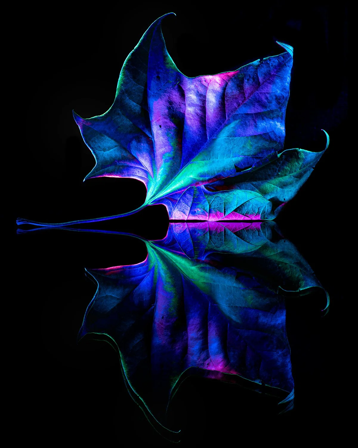 _1012547-Edit.jpg