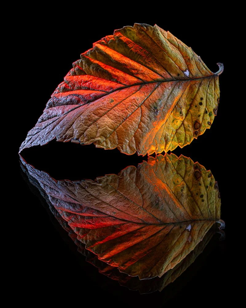 P1037284-Edit.jpg