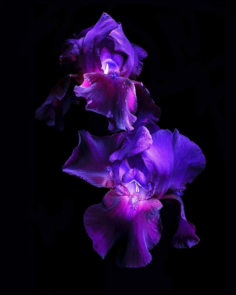 _1023490-Edit.jpg