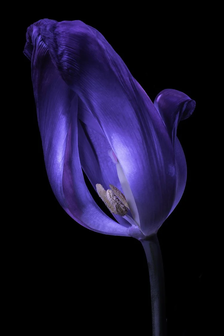 _1024157-Edit.jpg