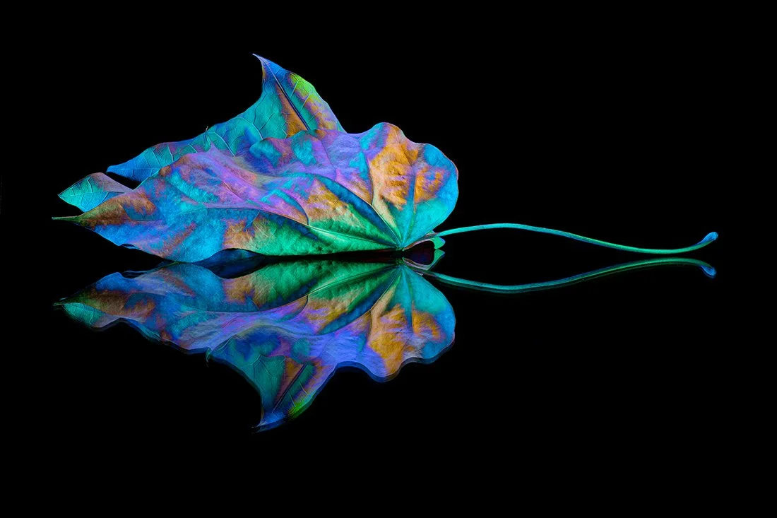 _1062892-Edit.jpg