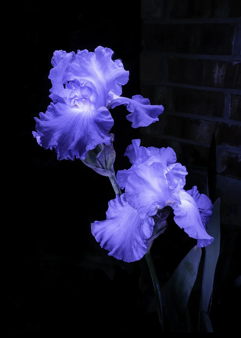_1023712-Edit.jpg