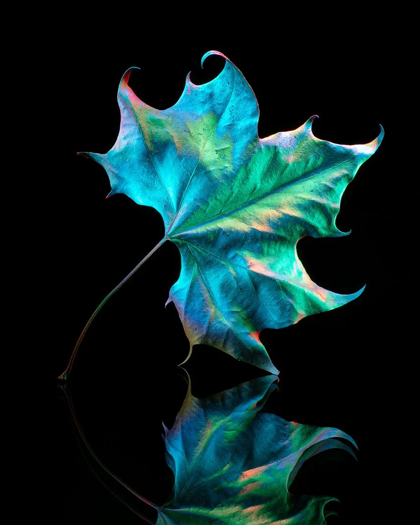 _1012450-Edit.jpg