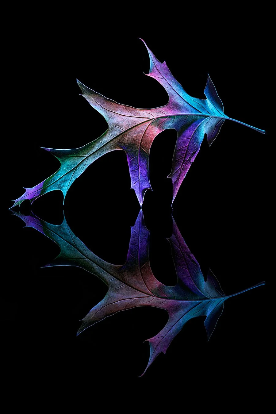 Dance of the Divine .jpg