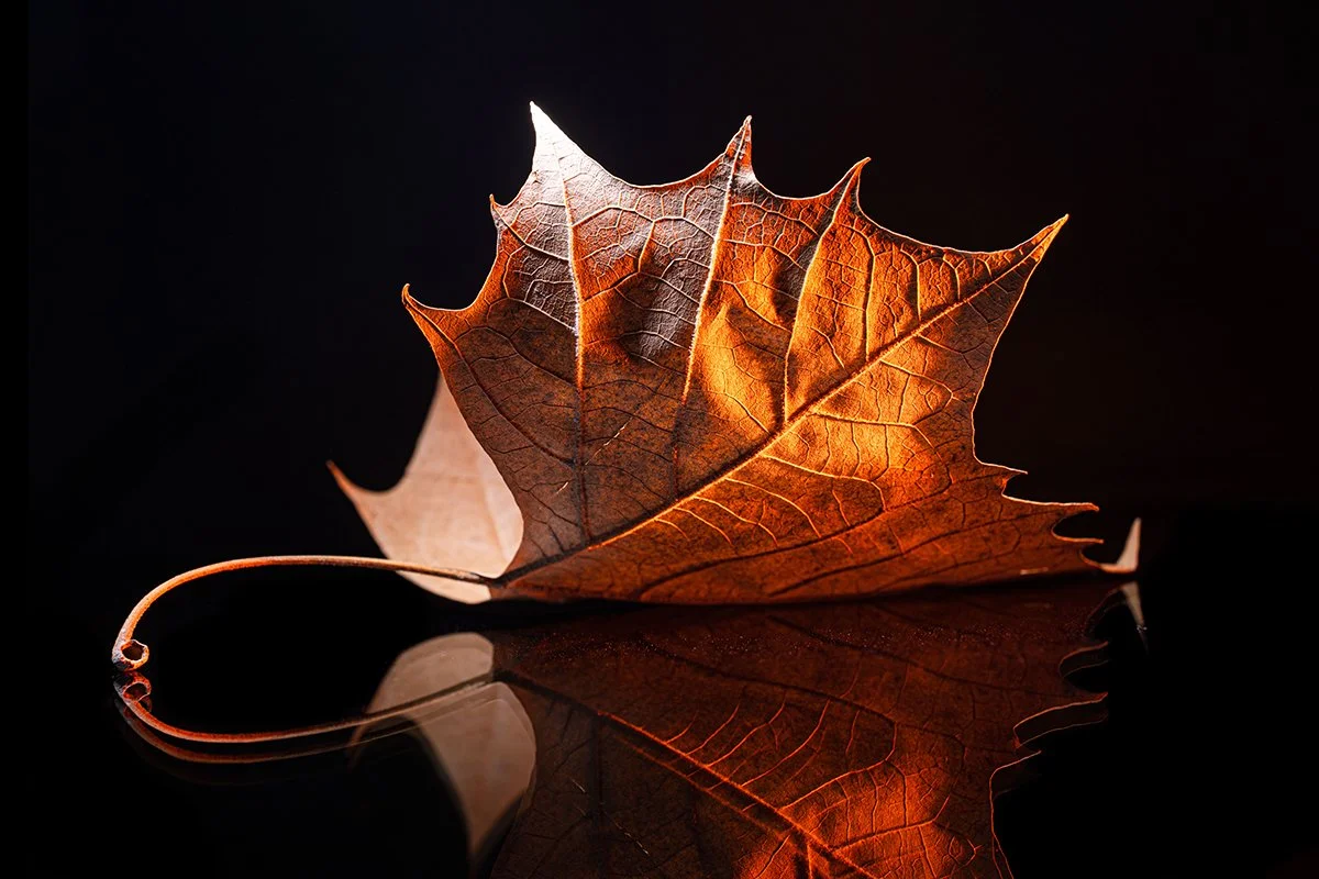 _1012376-Edit.jpg