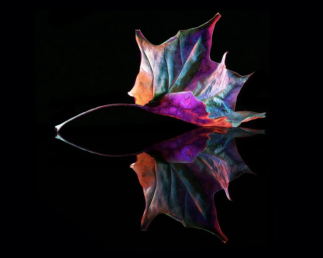 Untitled-1.jpg