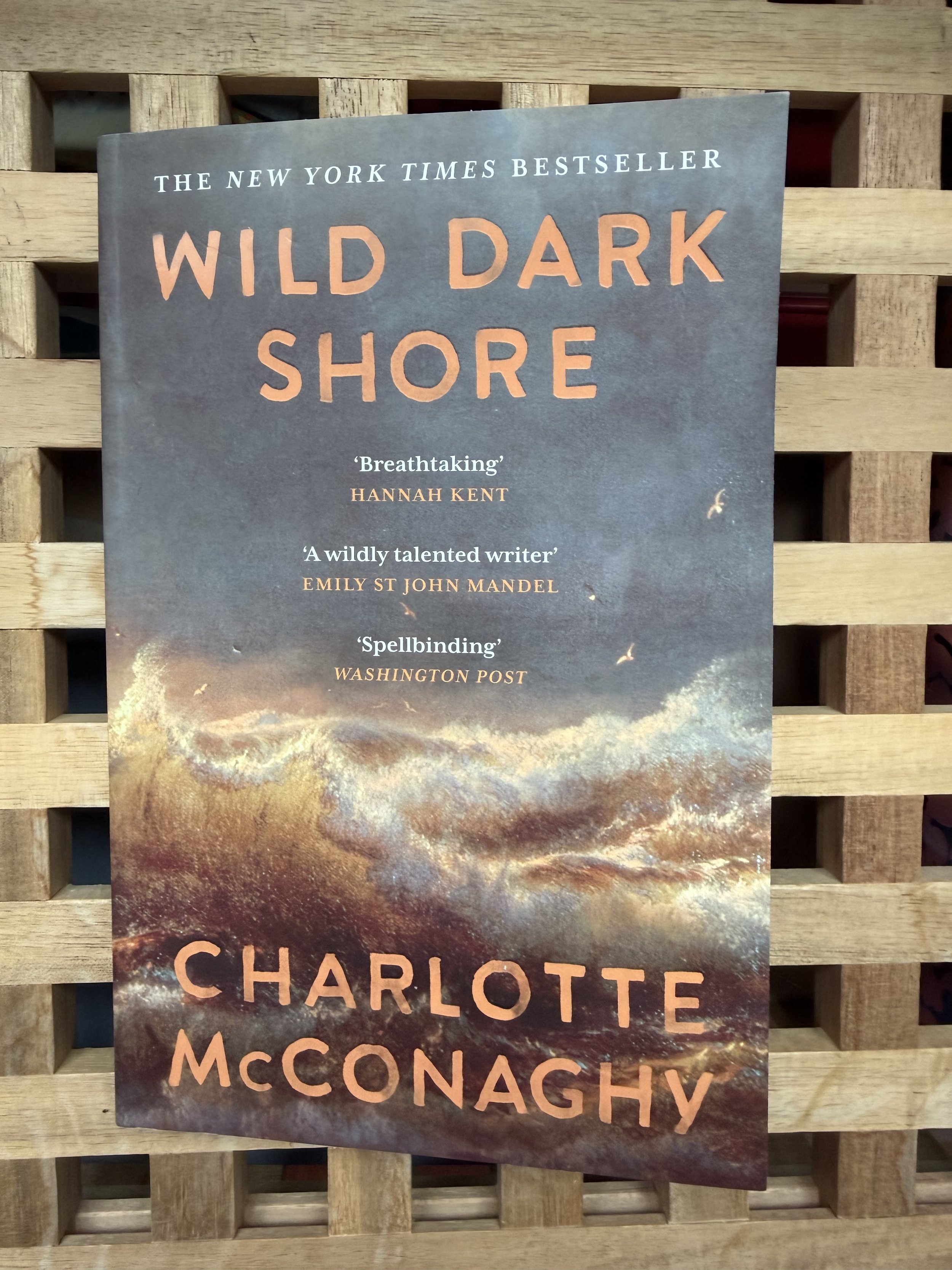 Book review: Wild Dark Shore by Charlotte McConaghy (Canongate, £9.99)