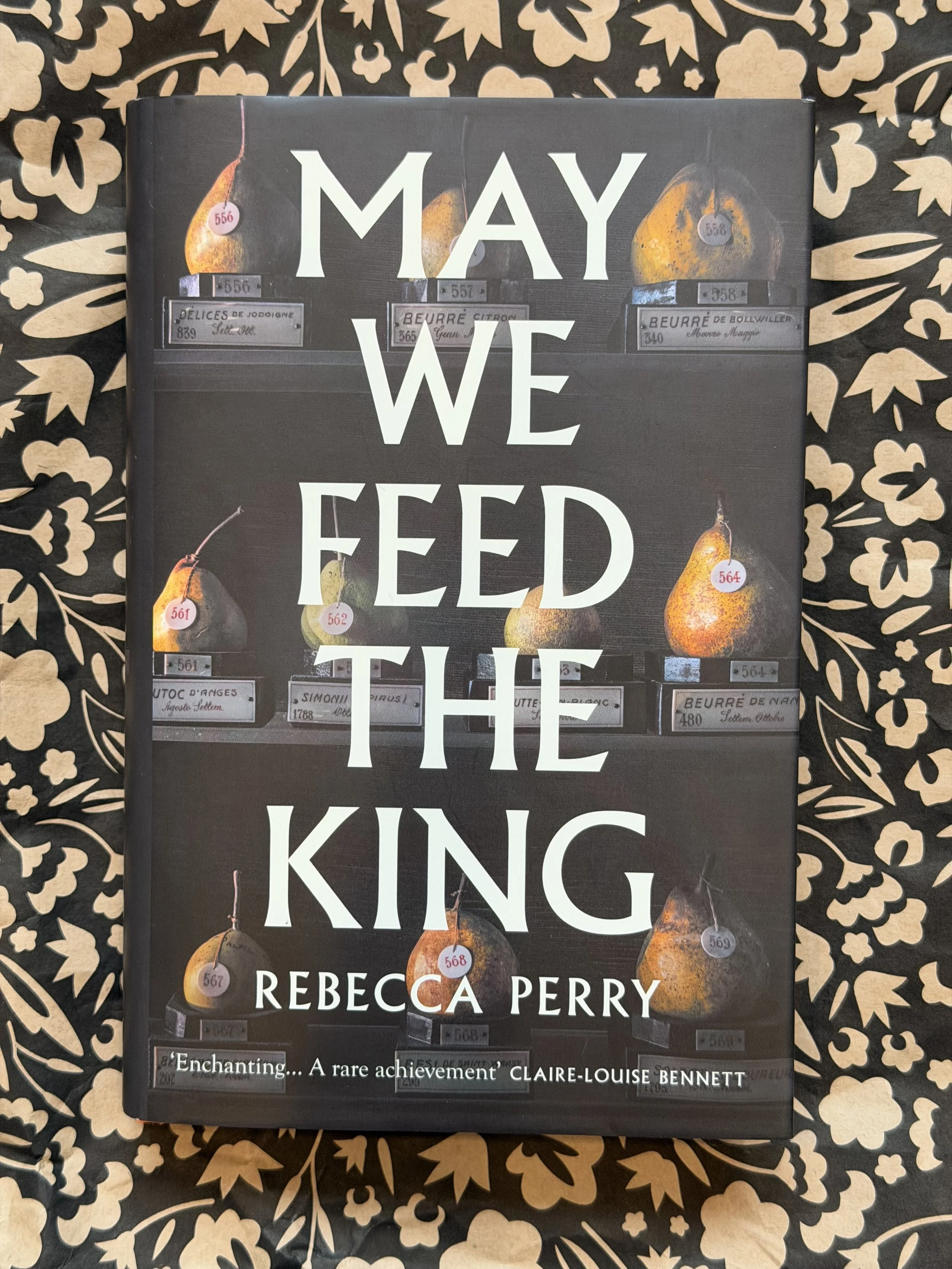 Book review: May We Feed The King by Rebecca Perry (Granta, £14.99)