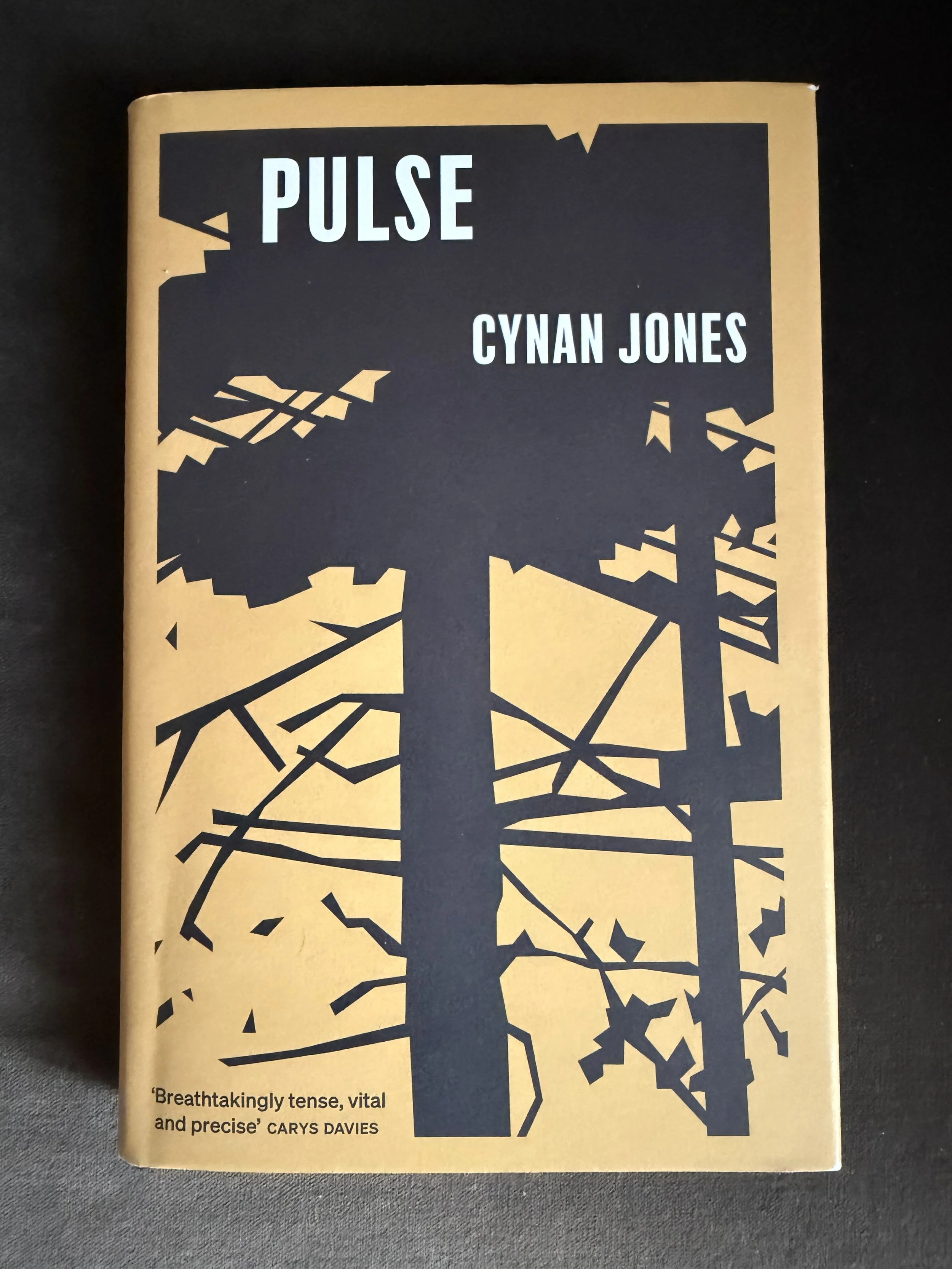 Book review: Pulse by Cynan Jones (Granta, £14.99)