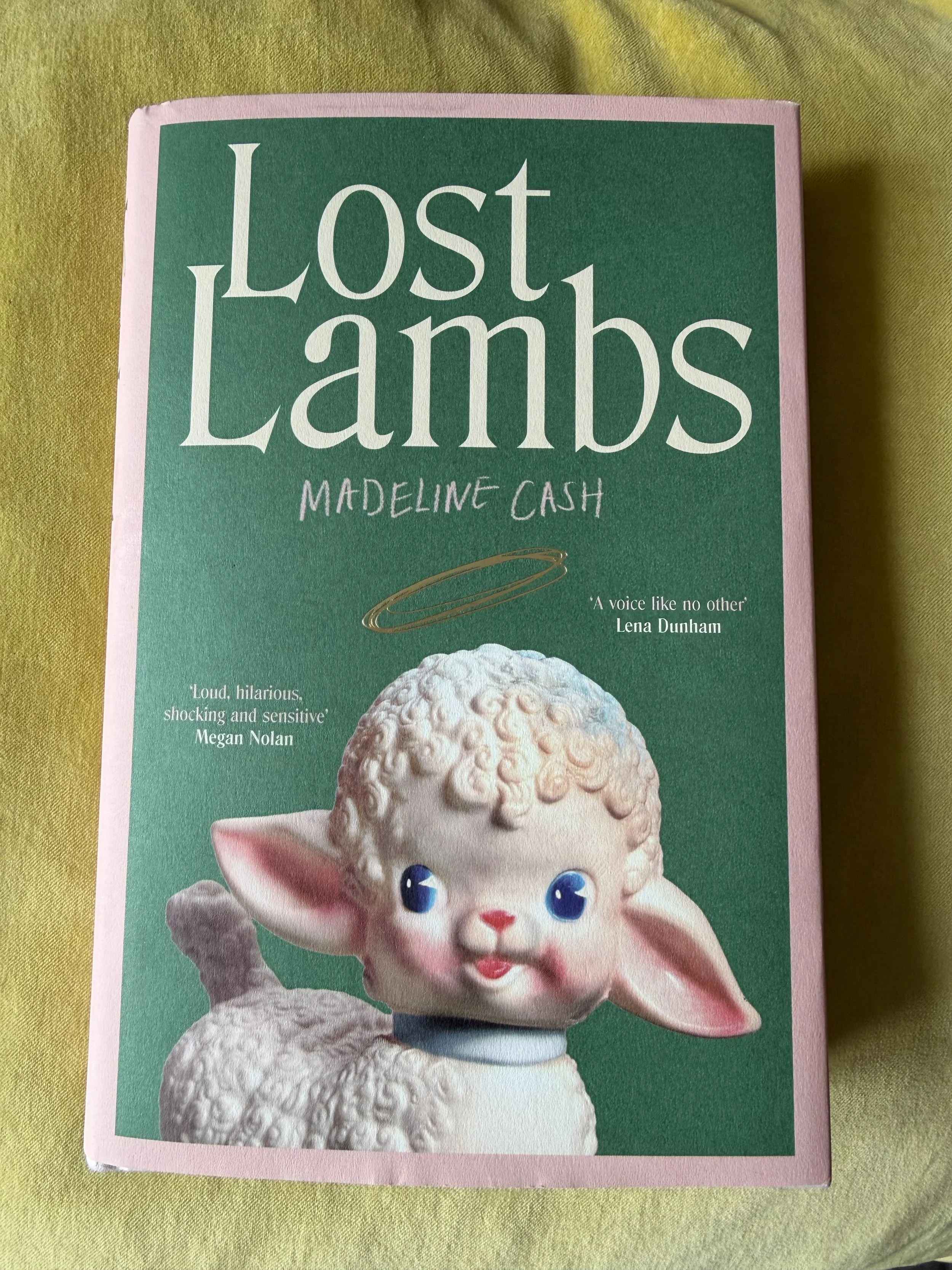 Book review: Lost Lambs by Madeline Cash (Doubleday, £16.99)