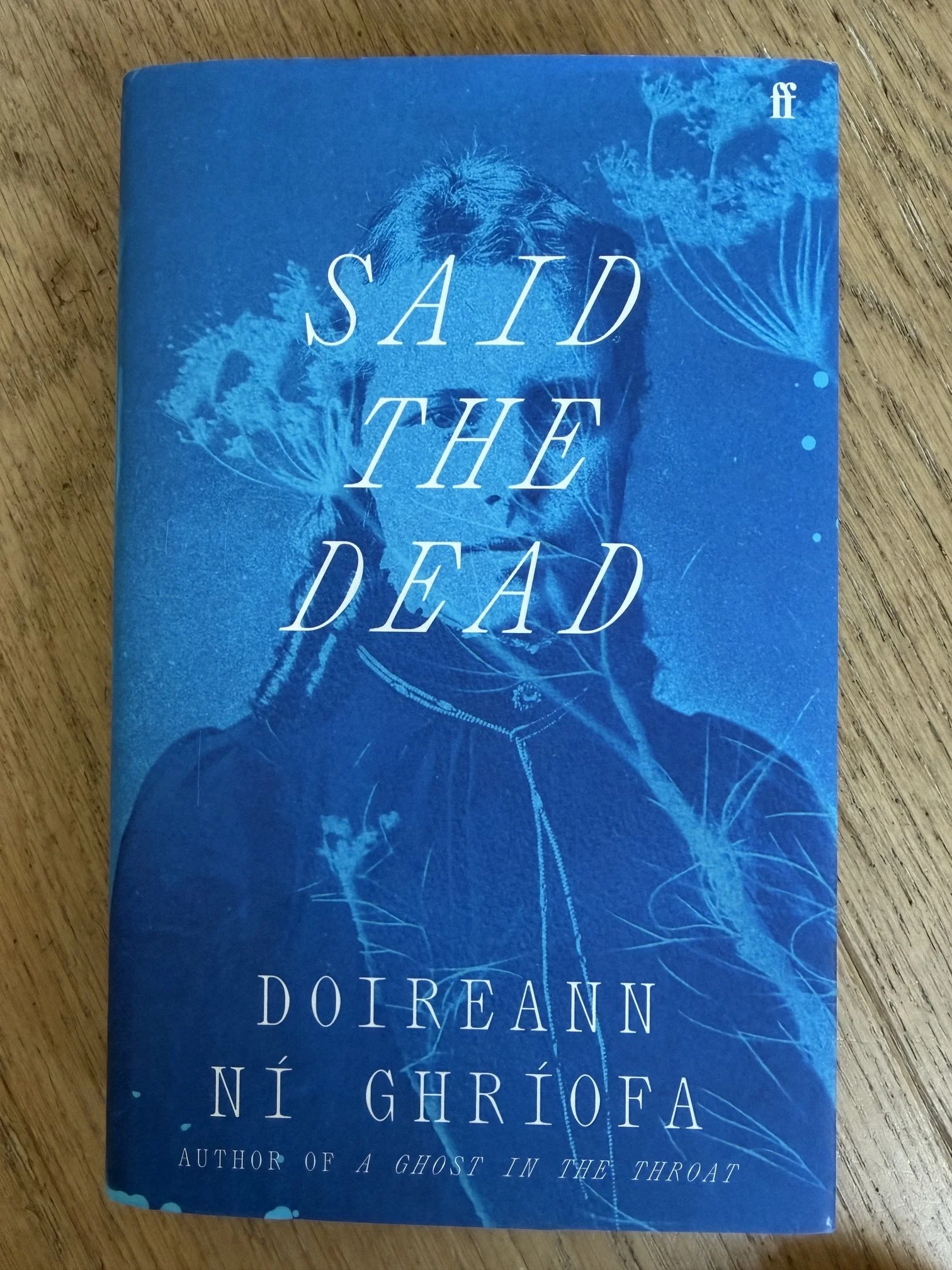 Book review: Said The Dead by Doireann Ni Ghriofa (Faber &amp; Faber, £18.99)