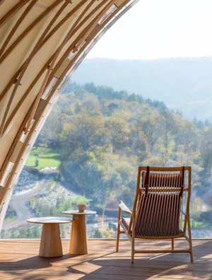 Dedo Lounge Chair - Oak