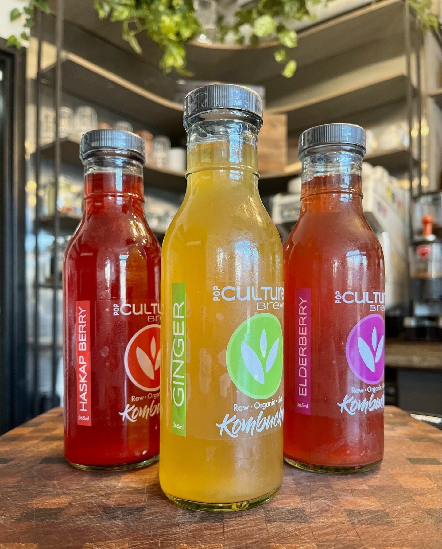 🌱Have you tried our new Pop Culture Brew Co. haskap, ginger, and elderberry kombucha flavours yet? 🥰 🫚

🌱Pop Culture Brew Co. Kombucha haskap berries are sourced from Sweet Earth Farms in Earltown, NS, and pressed in-house. Haskap is super high i