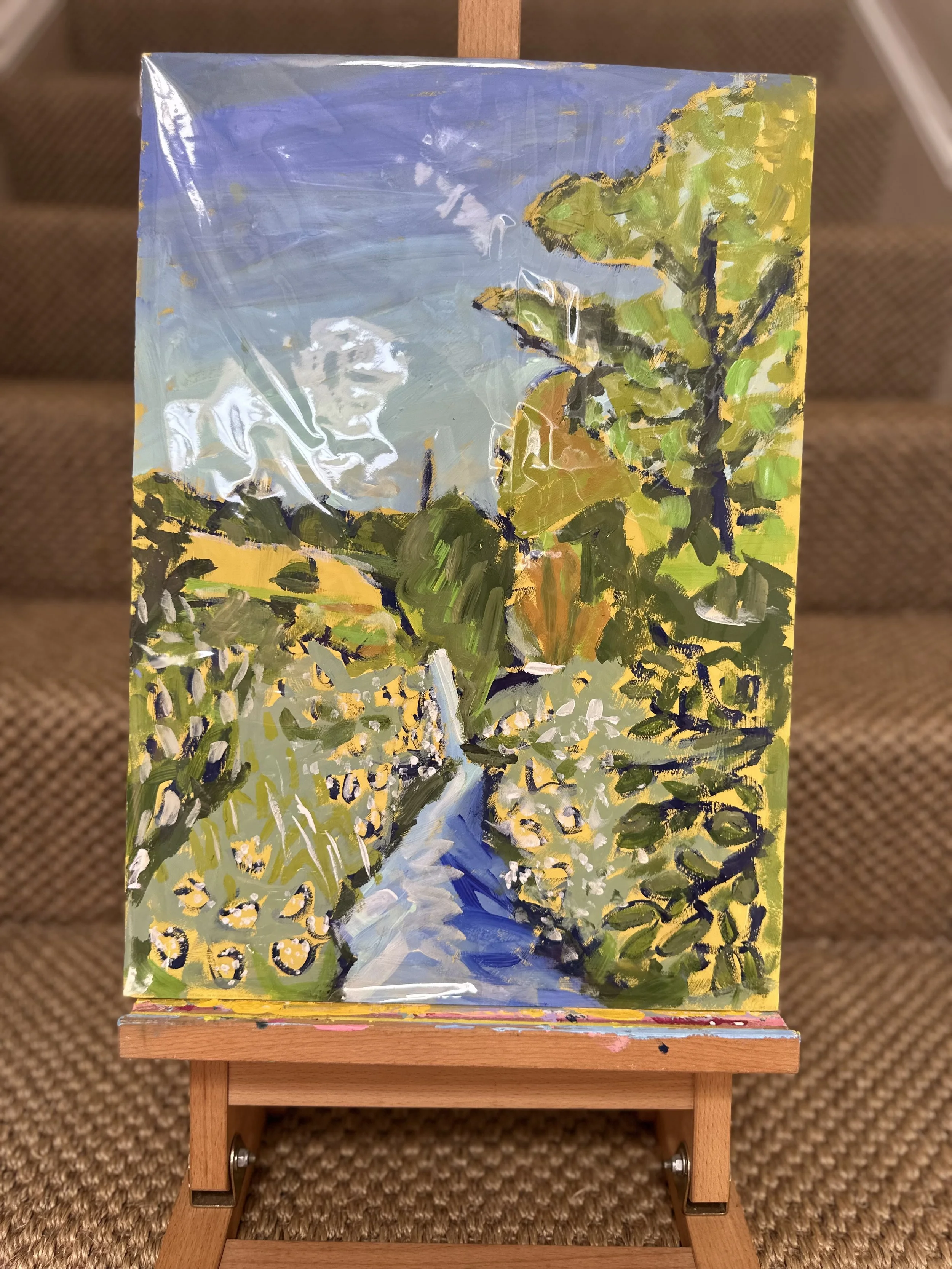 Stream with Cow Parsley - Sketchbook Sale