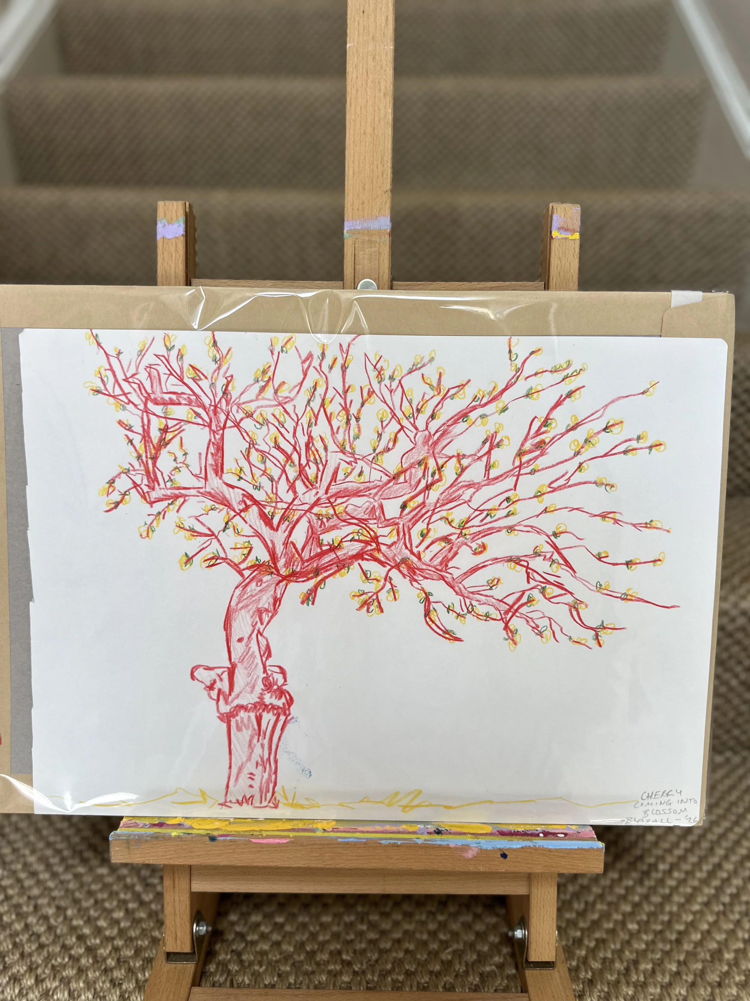 Cherry Tree in Early Spring - Sketchbook Sale
