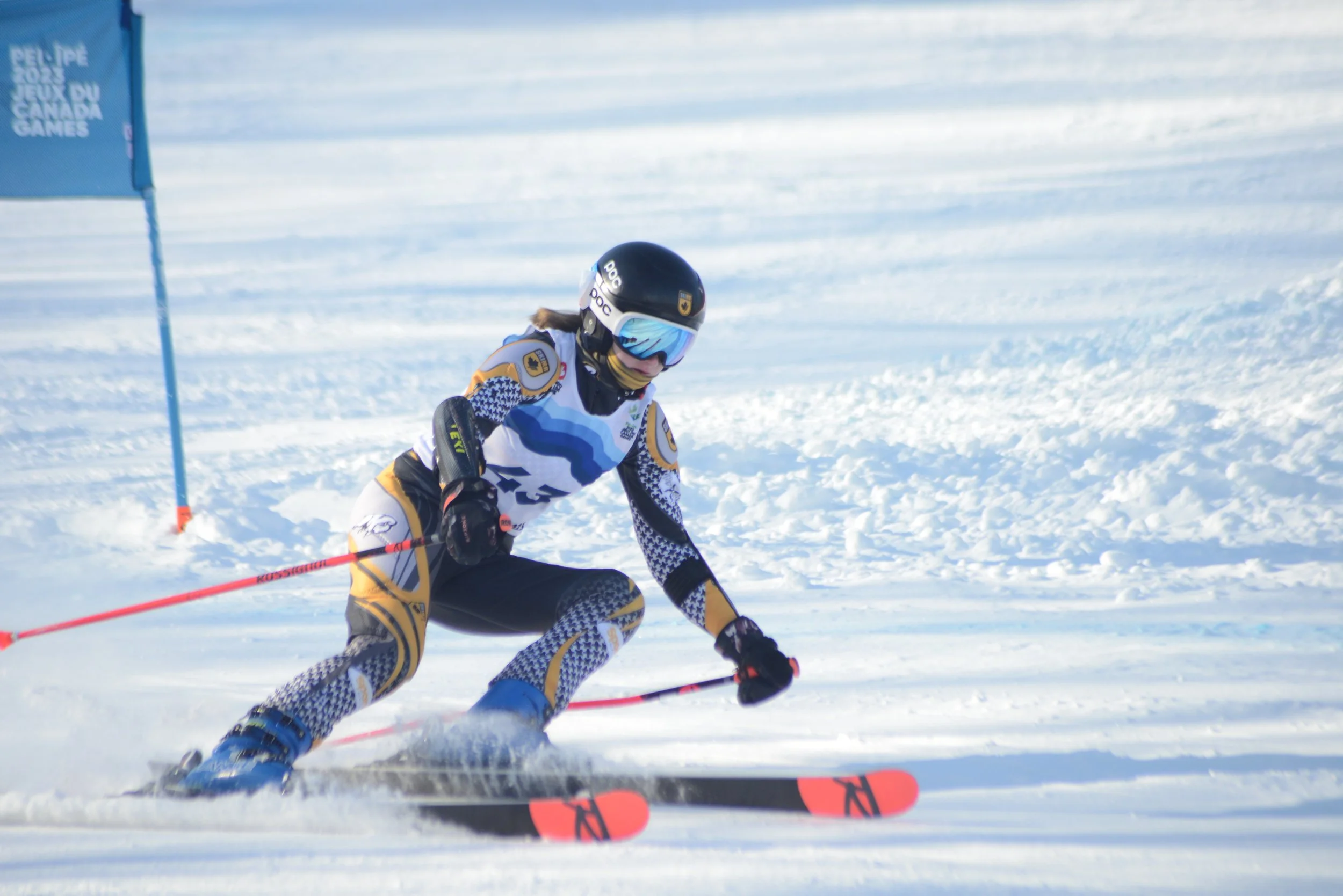 ALPINE SKI ON TV visual data 5