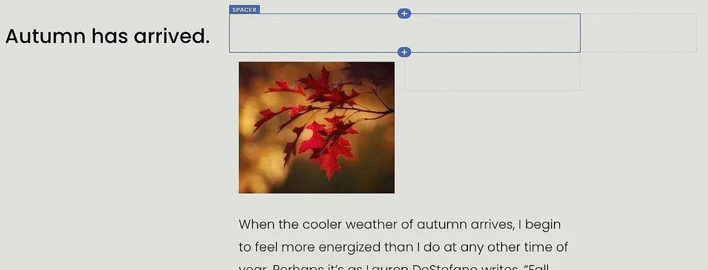 How to place an image perfectly on a Squarespace website — Kerry A ...