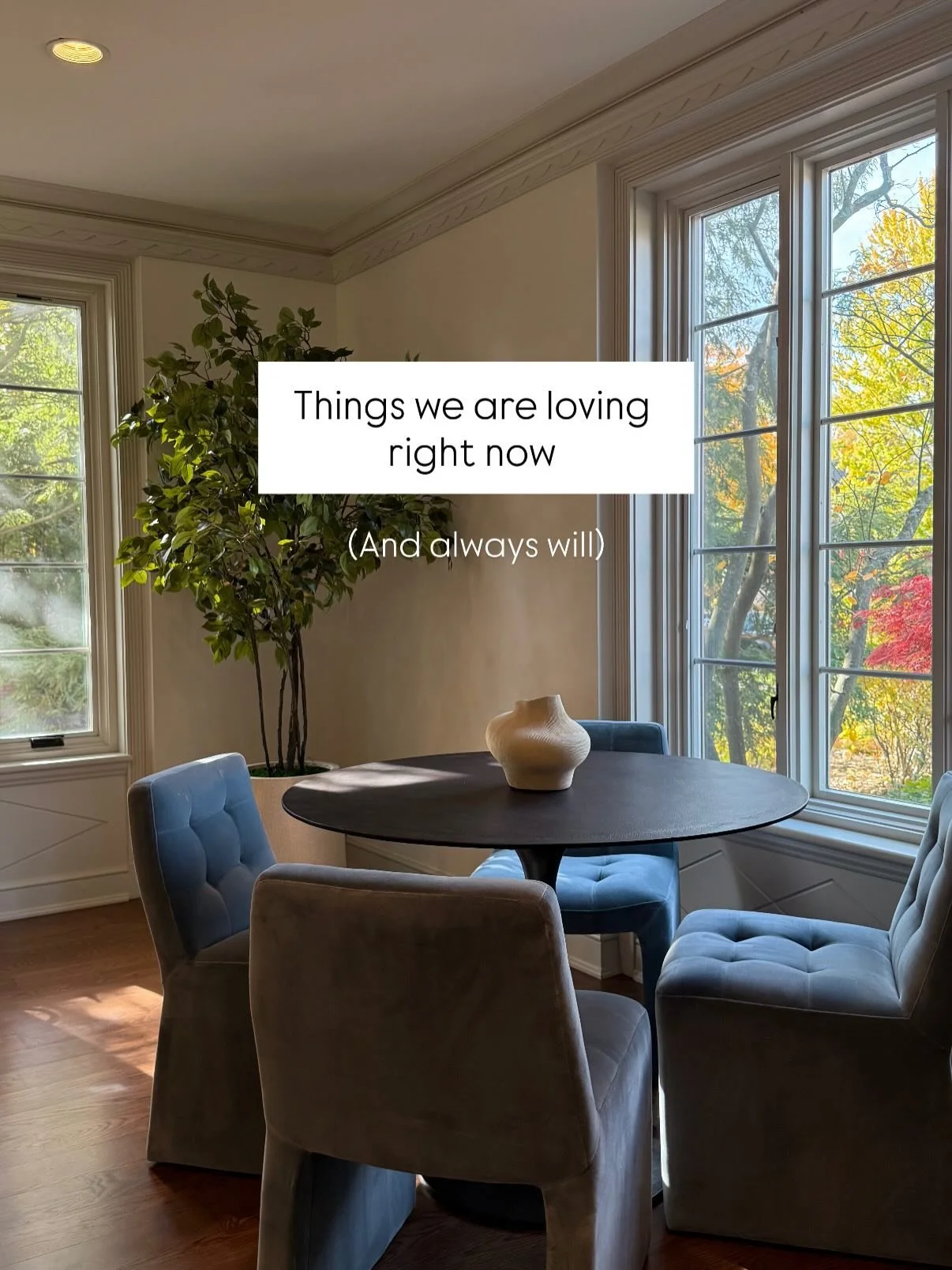 A few of our recent favorites! 

#interiordesigninspiration #detailedinteriors #andreanemesdesign #michiganinteriordesign #timelessdesign