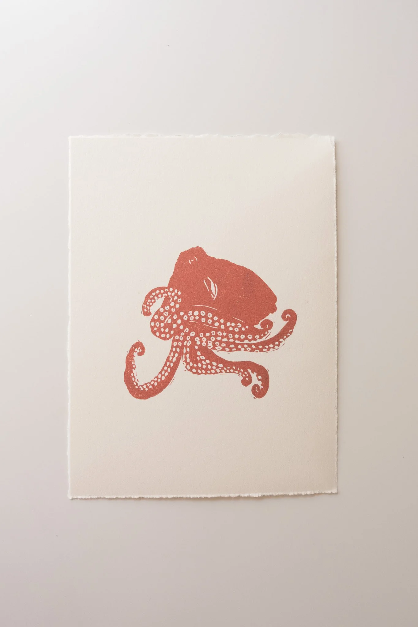 GiantPacificOctopusMiniPrint.jpg