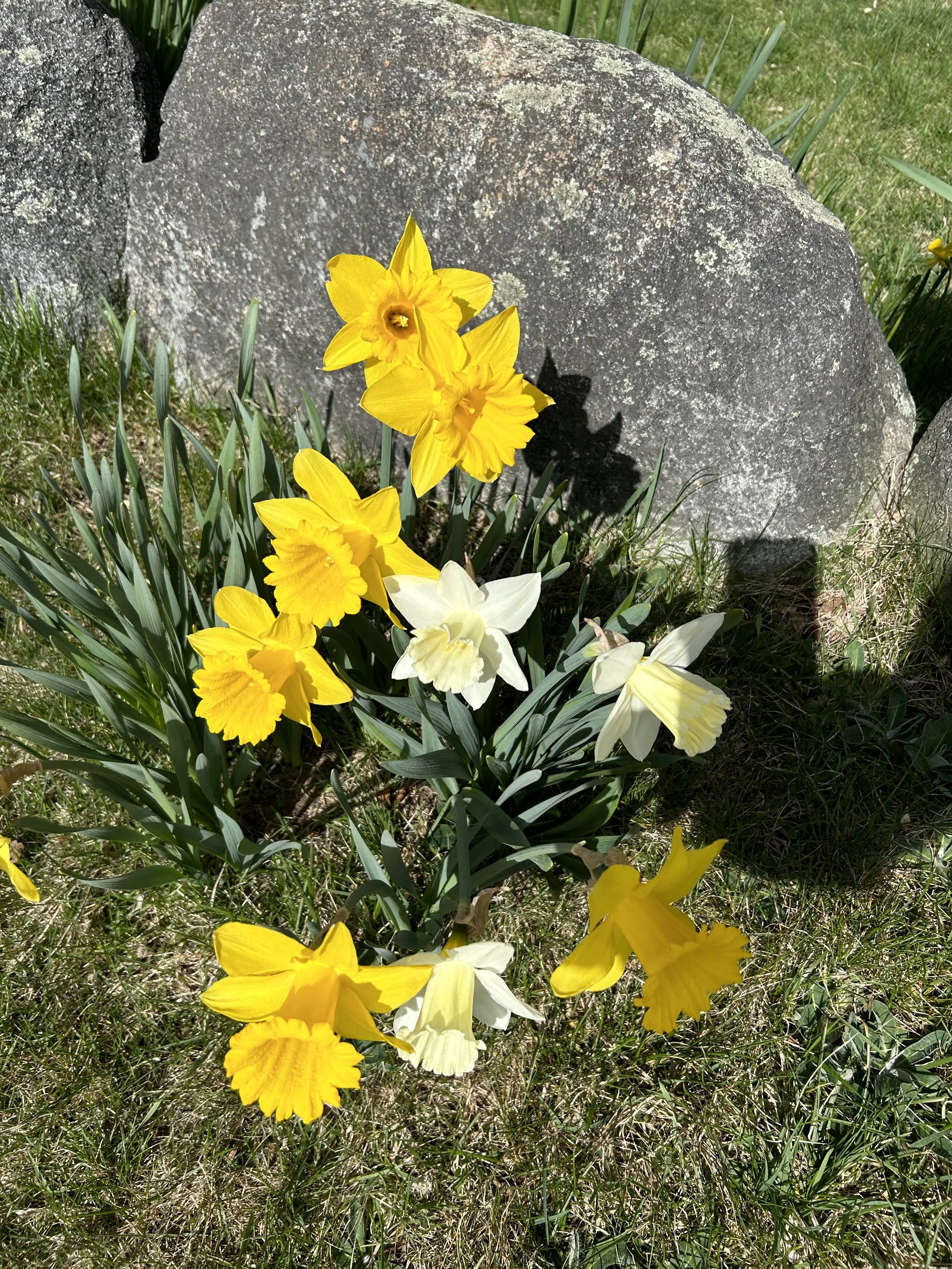 2023-4-14 River Rd, west.JPG