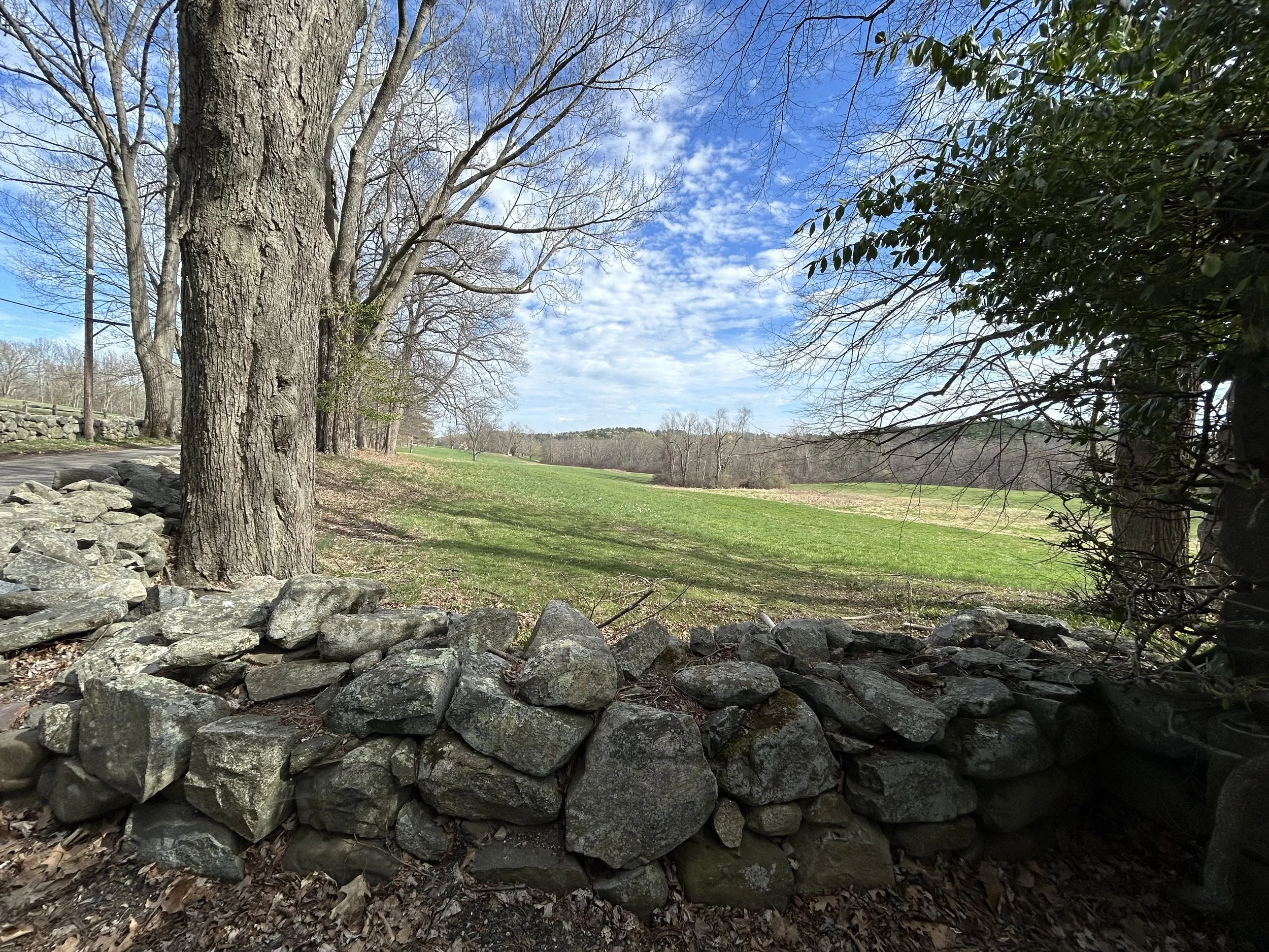 2023-4-15 River Rd..JPG