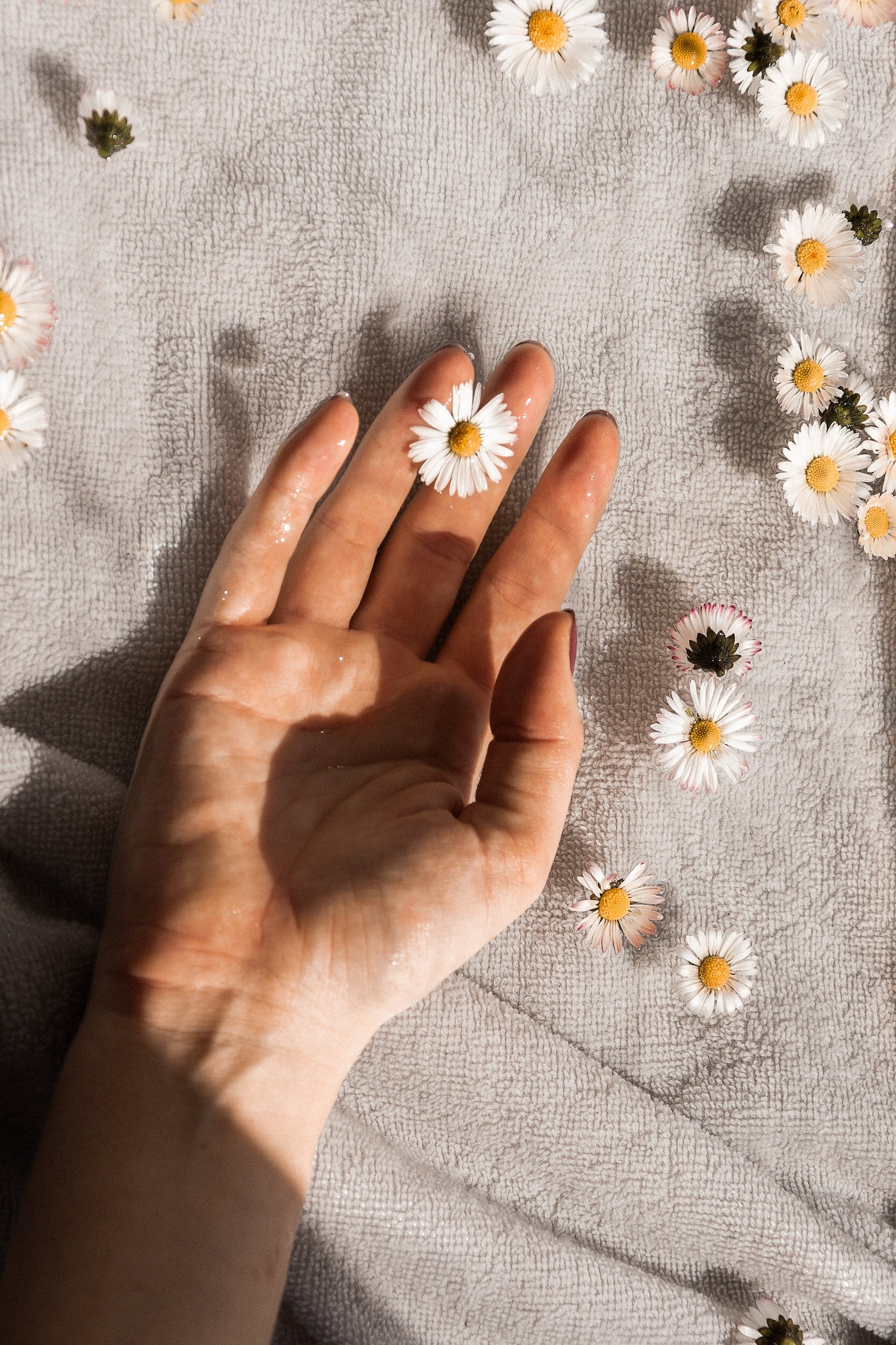 Cos’è la Clean Beauty? Scopri il segreto di una bellezza naturale e sostenibile