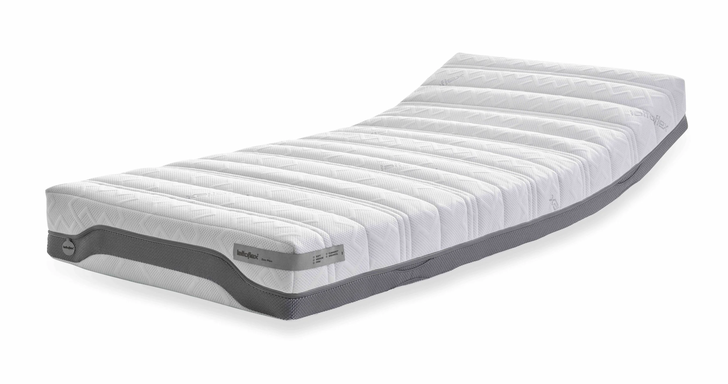 ZEN PLUS curved.jpeg