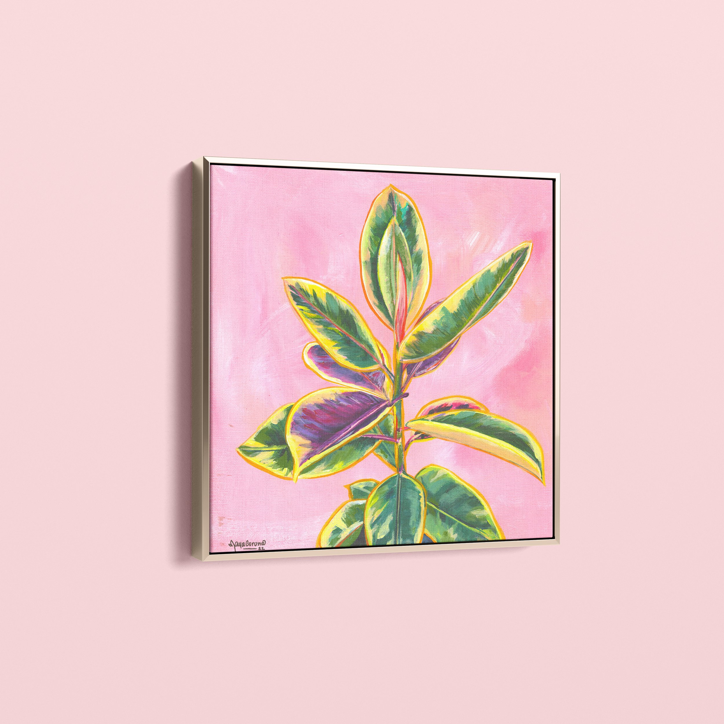 ficus-elastica-mockup-02.jpg