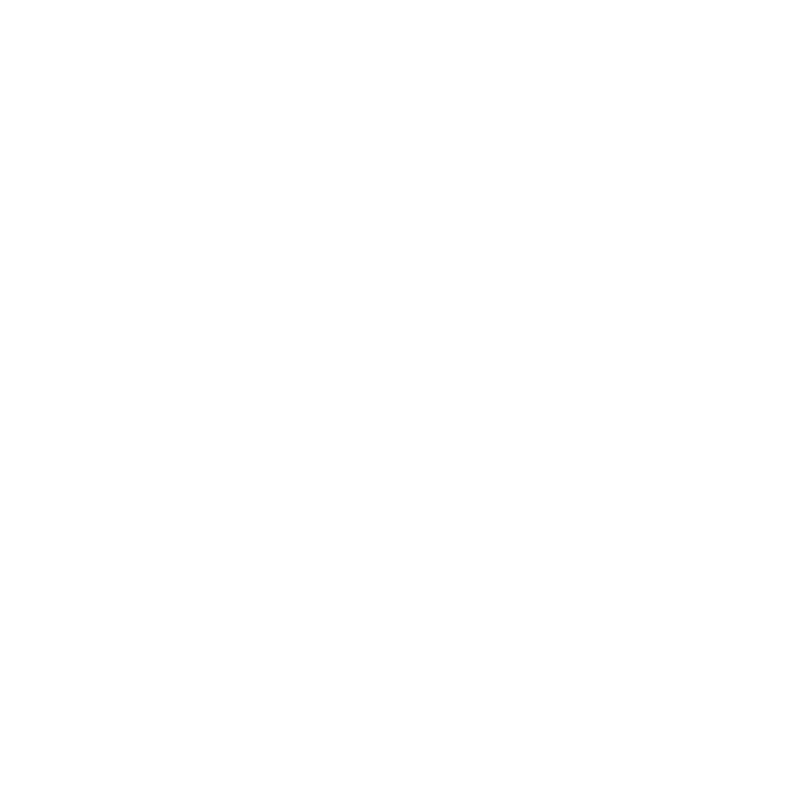 saarfari_Logo.png