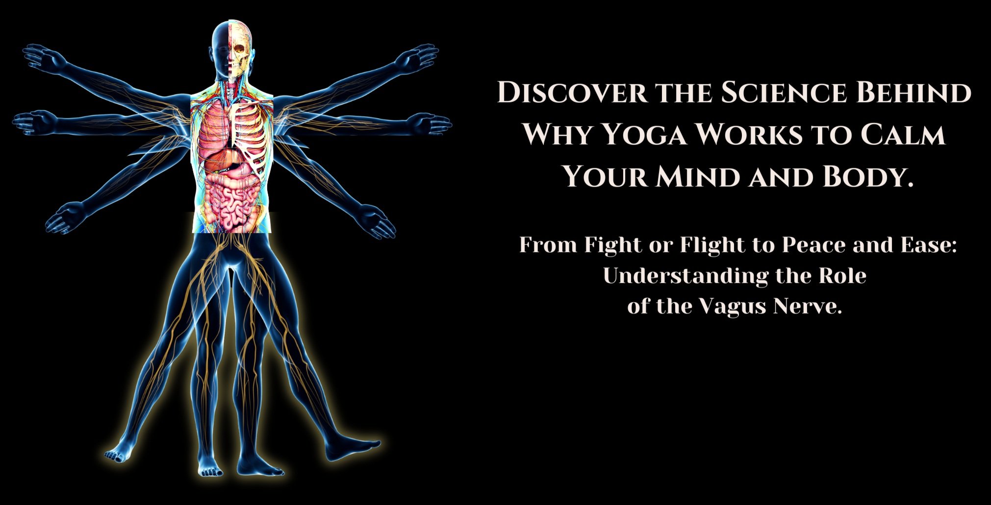 Discover the Science Behind Why Yoga Works...