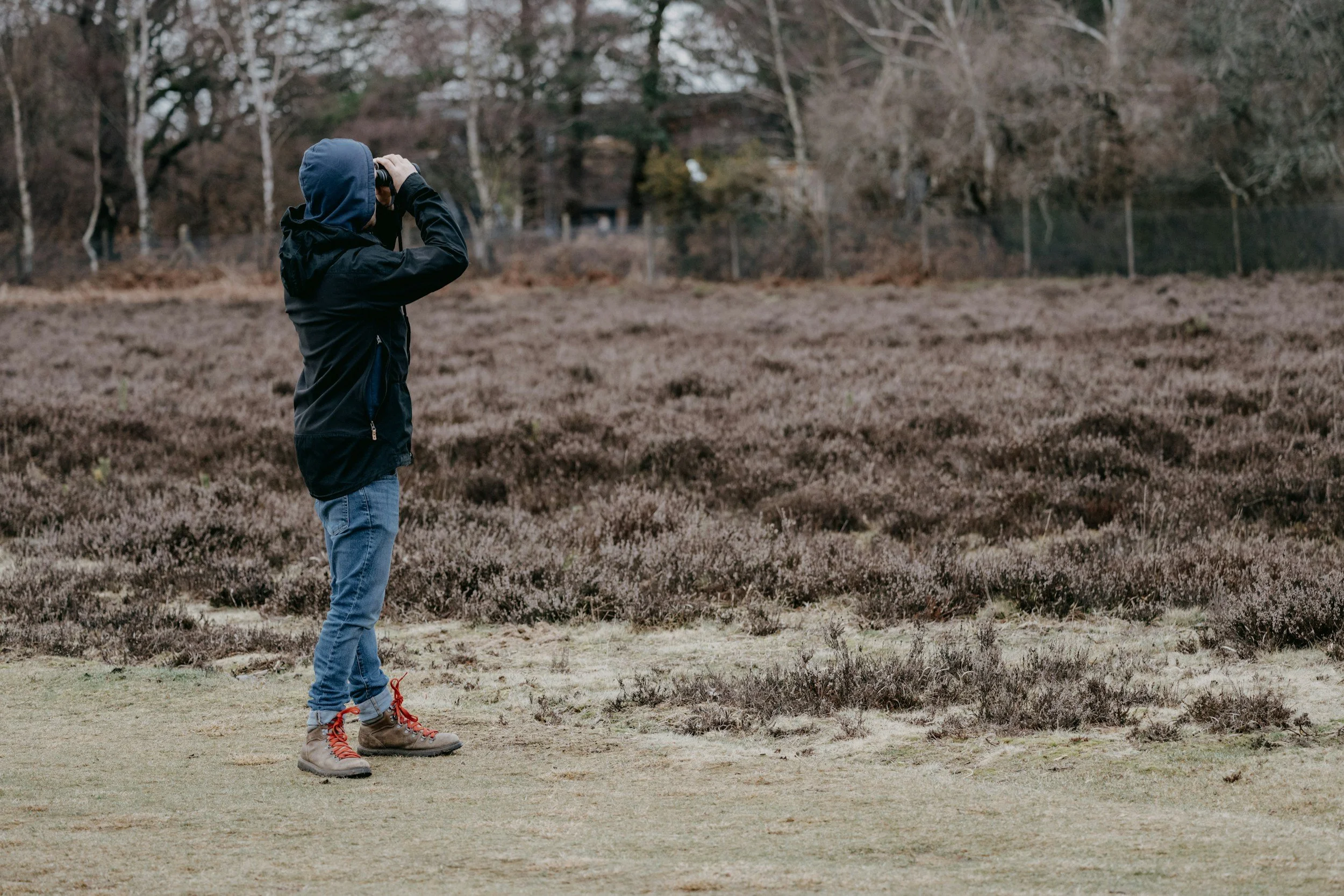 The History of Birdwatching in Berkshire County 