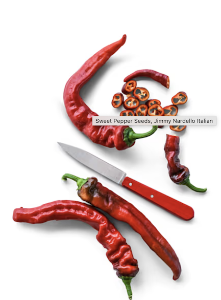 Screenshot 2026-01-17 at 1.38.53 PM.png