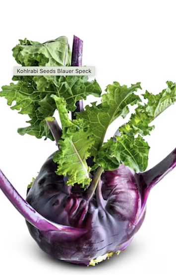 Screenshot 2026-01-17 at 1.43.05 PM.png