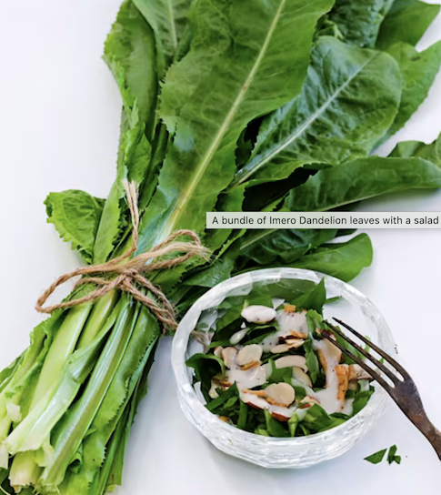 Screenshot 2026-01-17 at 1.41.51 PM.png