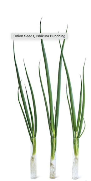 Screenshot 2026-01-17 at 1.47.17 PM.png