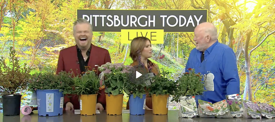 FALL PLANTING SECRETS AS SEEN ON PITTSBURGH TODAY LIVE
