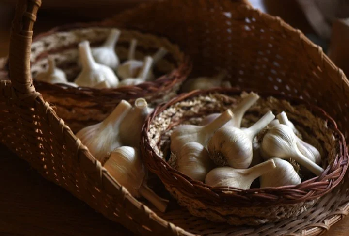 Free Where To Turn Resource Fair with Doug and Farm to Table at Duquesne 10/20/26 FREE GARLIC at 11am!