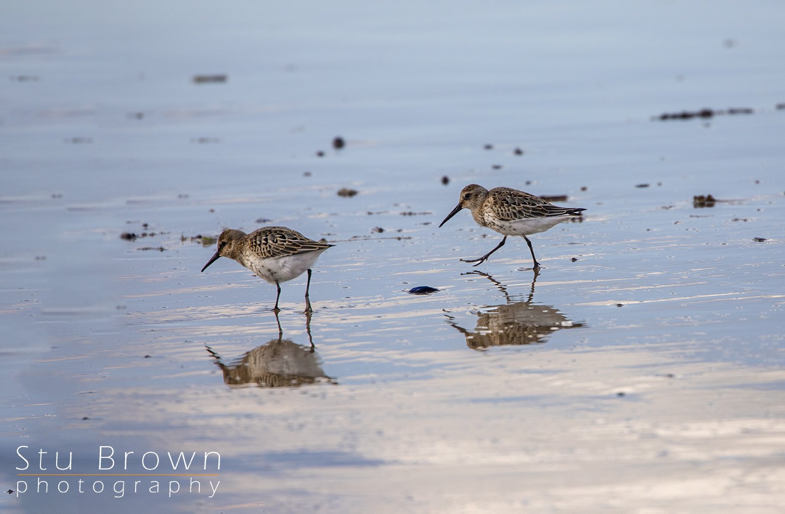 Sandling redcar beach.jpg
