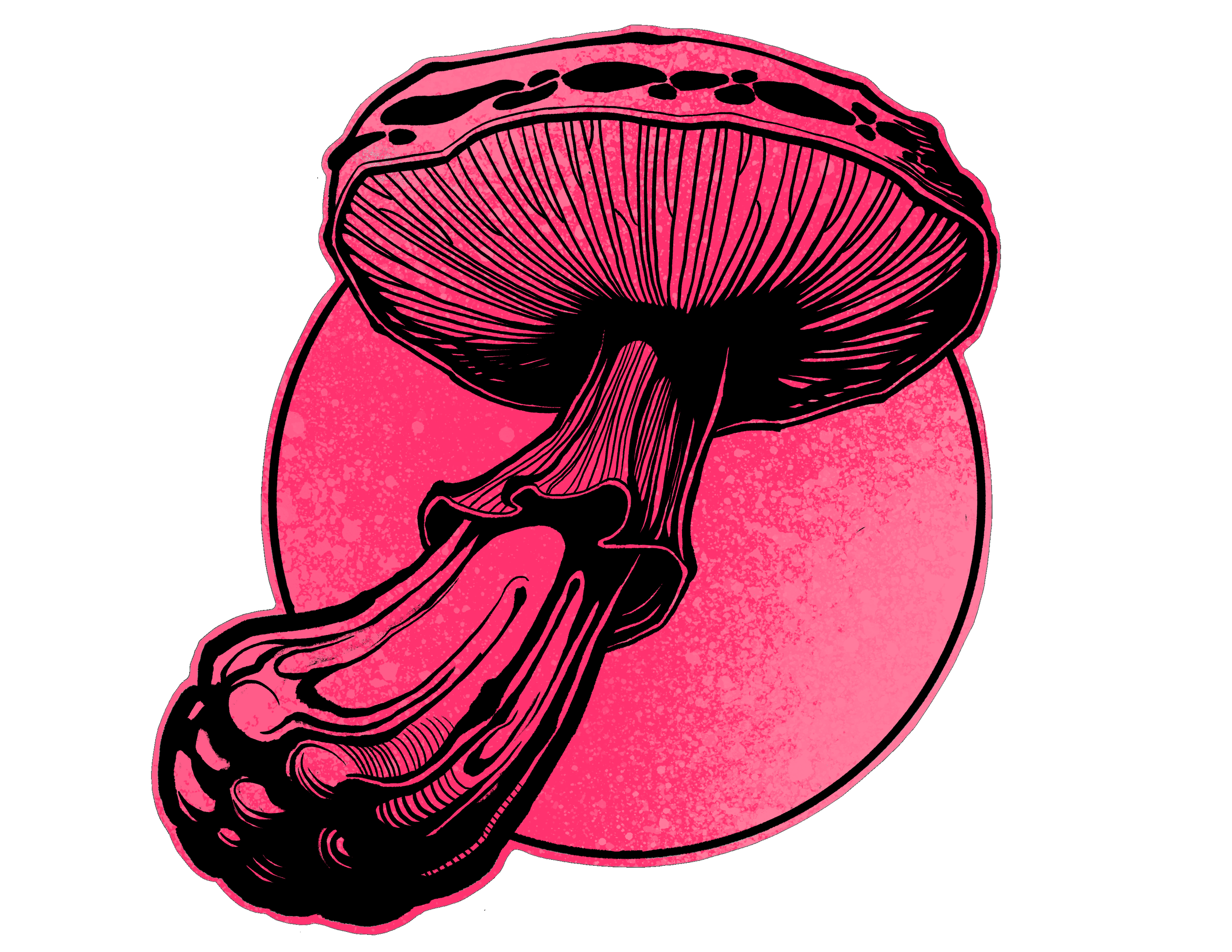 Untitled-Artwork.png