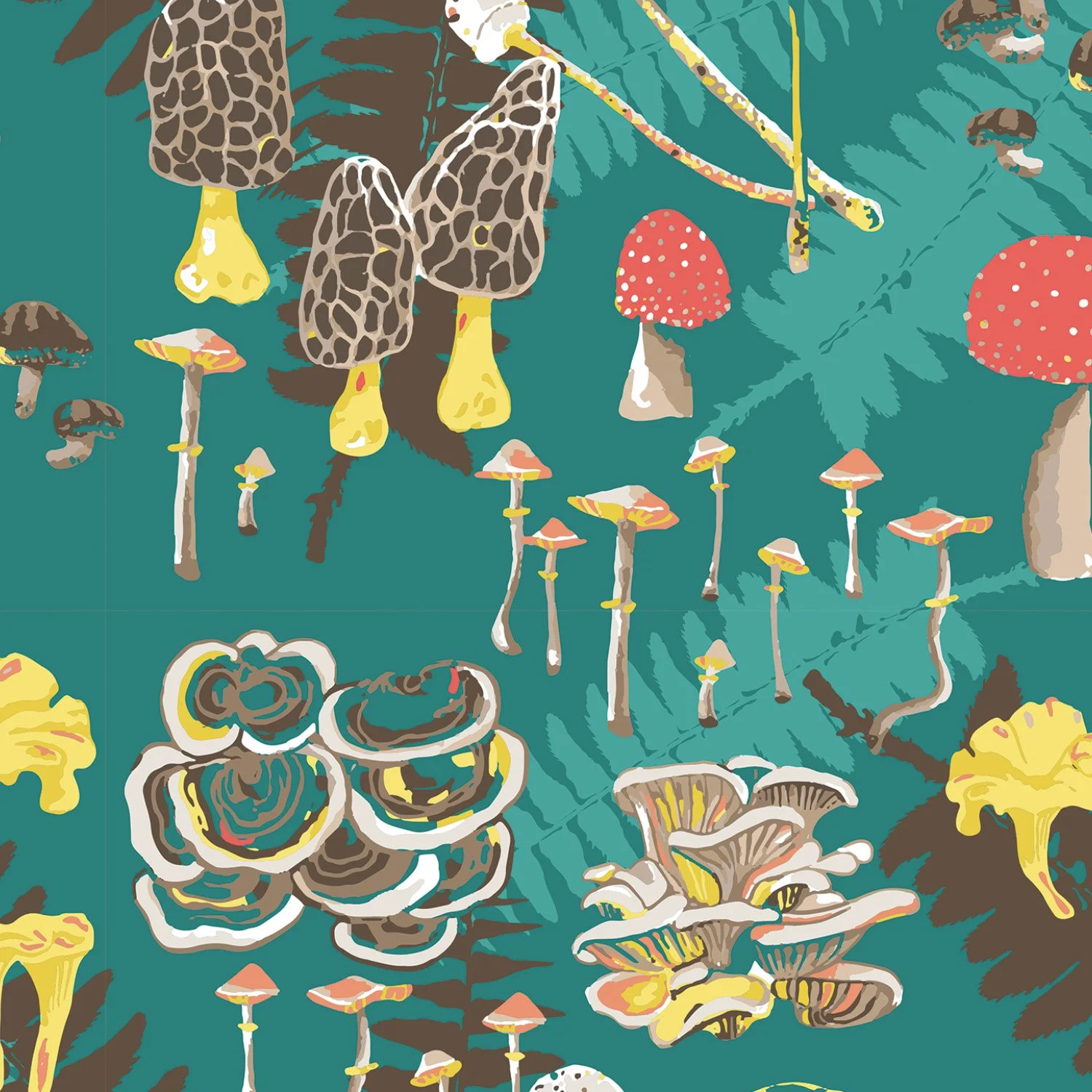 Pacific Northwest Mushrooms_web.jpg