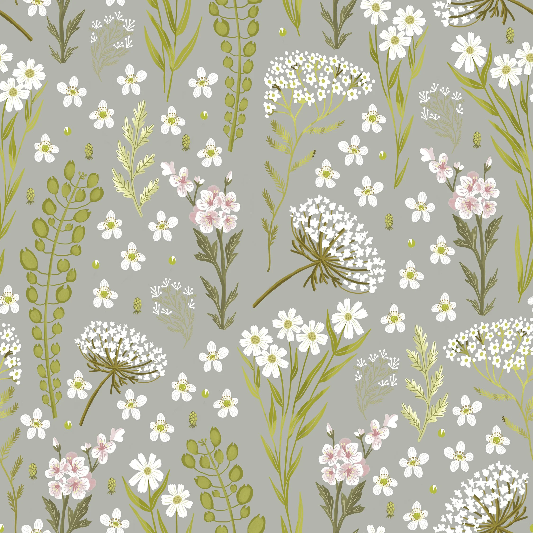 White Wildflowers_gry_sp.jpg